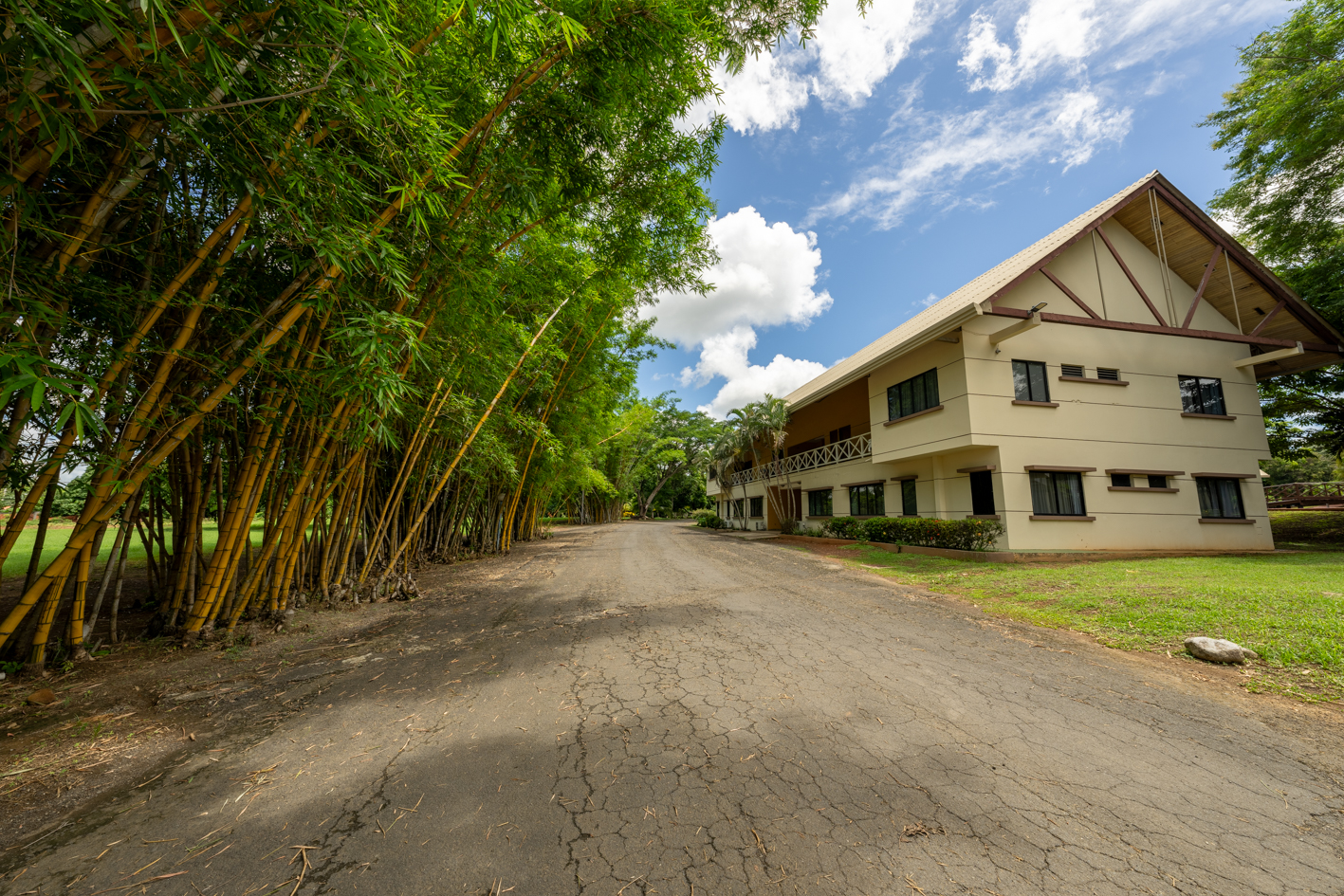 Guayacanes Chitré
