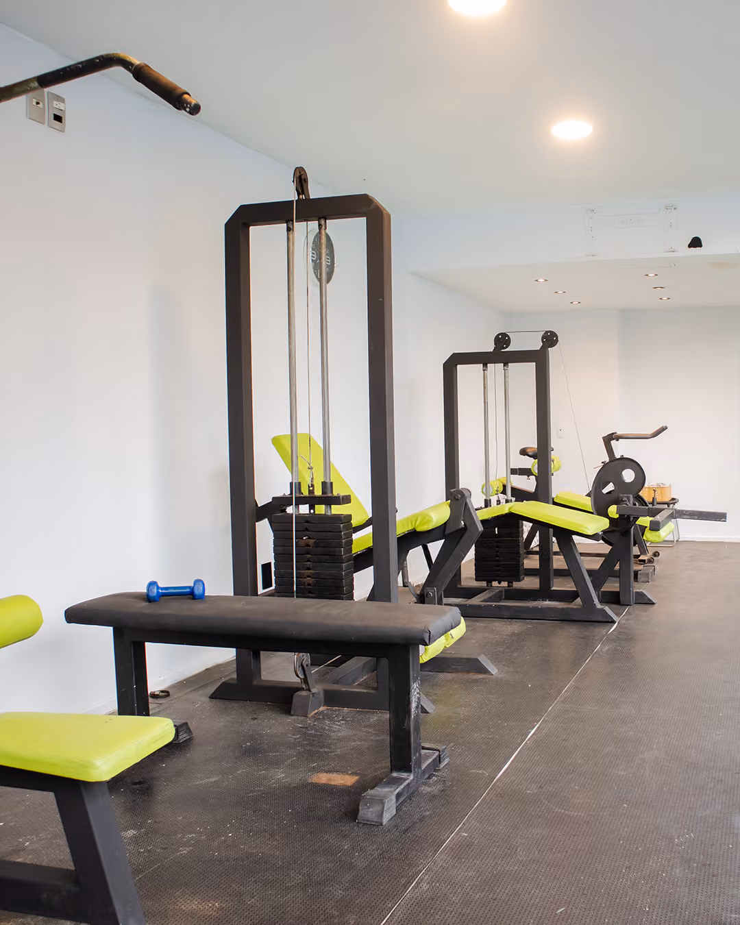Gimnasio
