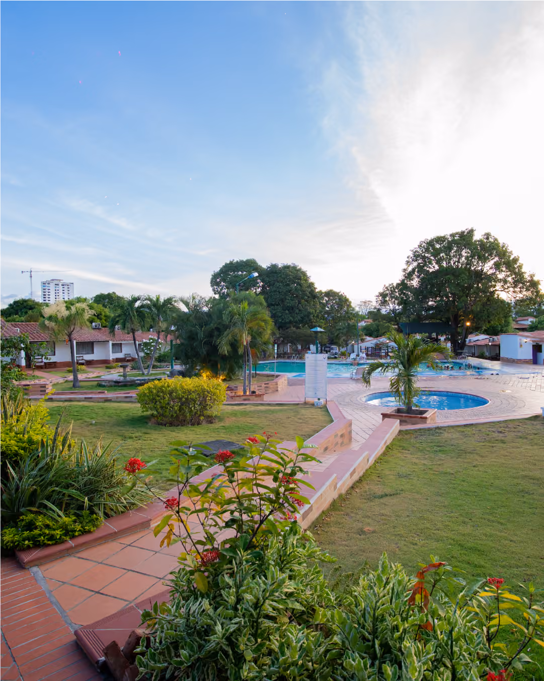 Zona húmeda