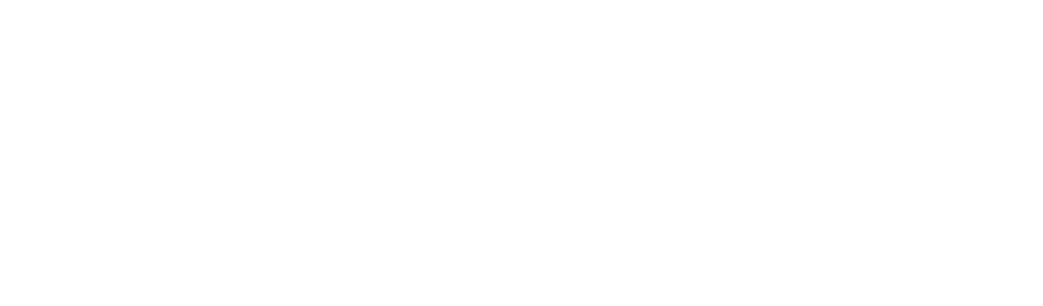 Hotel Caribe