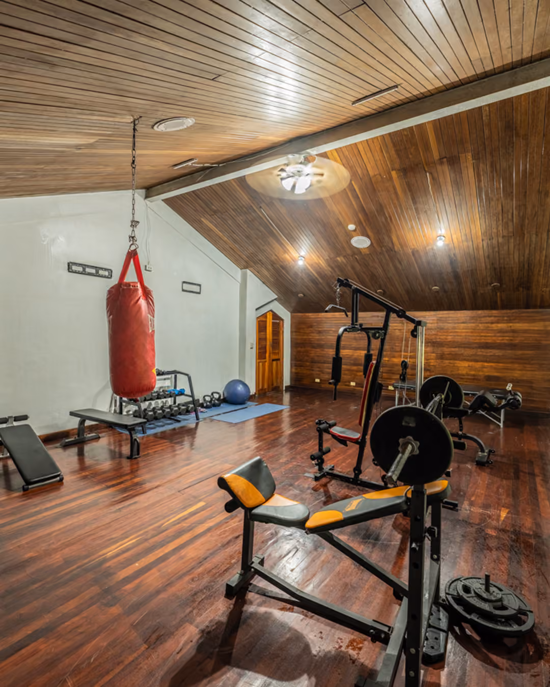 Gimnasio