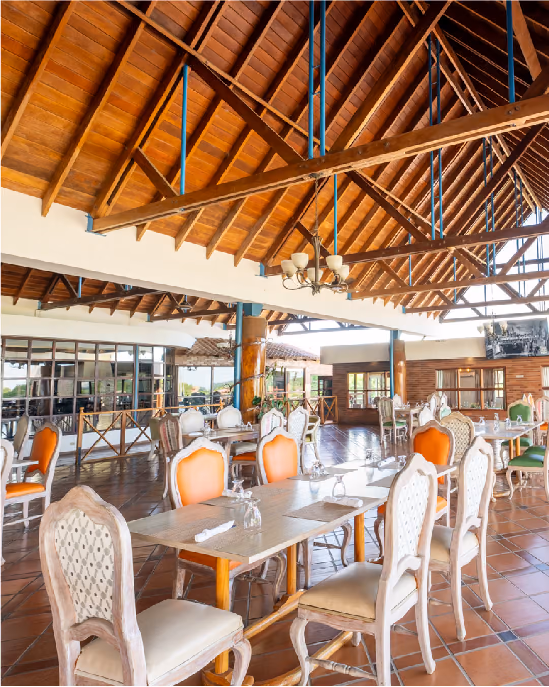Bar & Terraza